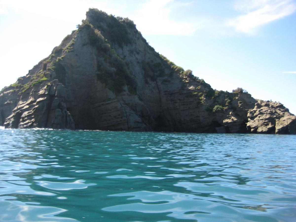 Bed and Breakfast Waipiro Bay Paradise Te Puia Exterior foto